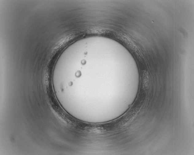 X0000115430683200911251226