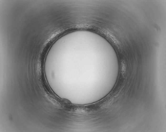 X0000115430684200911251226