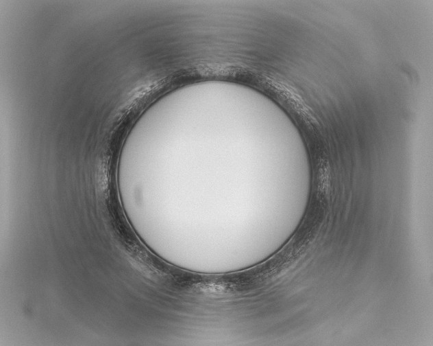 X0000115430687200911251226