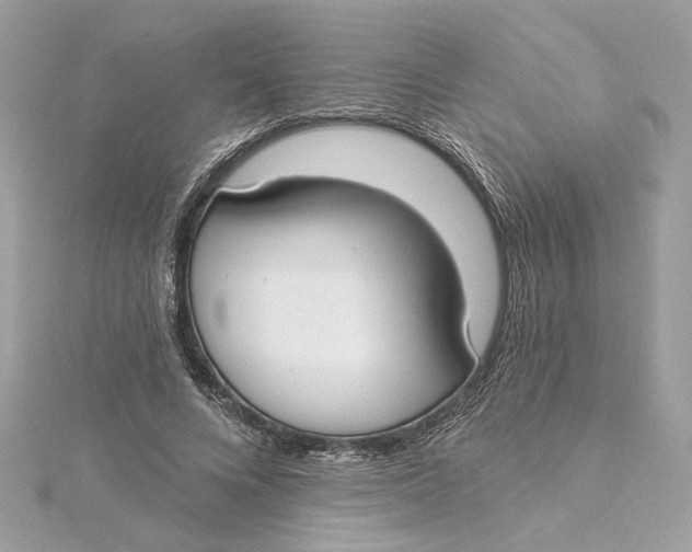 X0000115430688200911251226