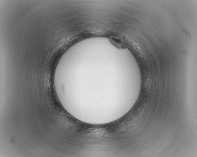 X0000115430689200911251226