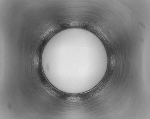 X0000115430691200911251226