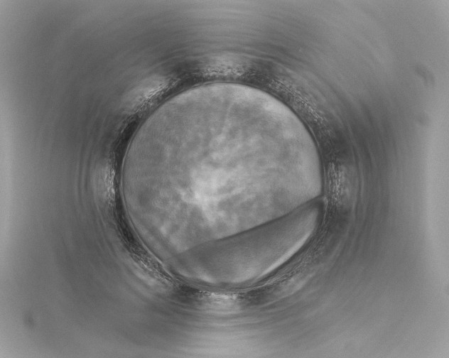 X0000115430692200911251226