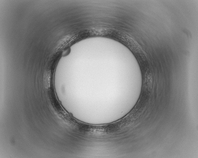 X0000115430694200911251226