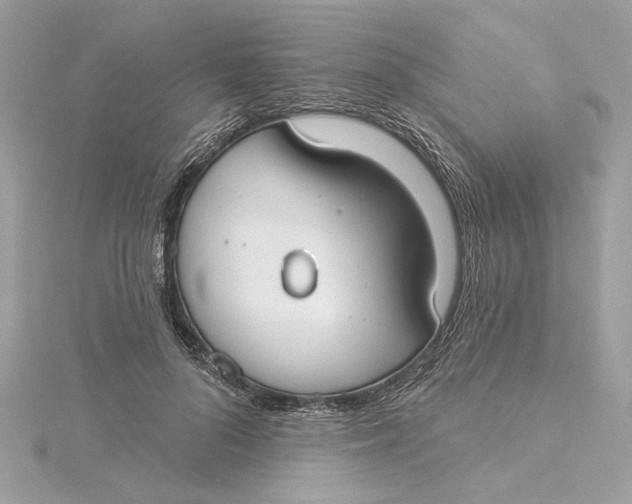 X0000115430696200911251226