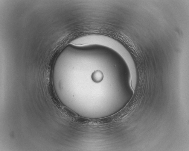 X0000115430697200911251226