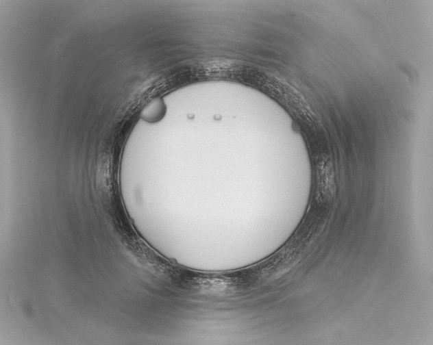 X0000115430698200911251226