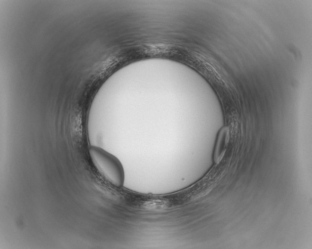 X0000115430700200911251226