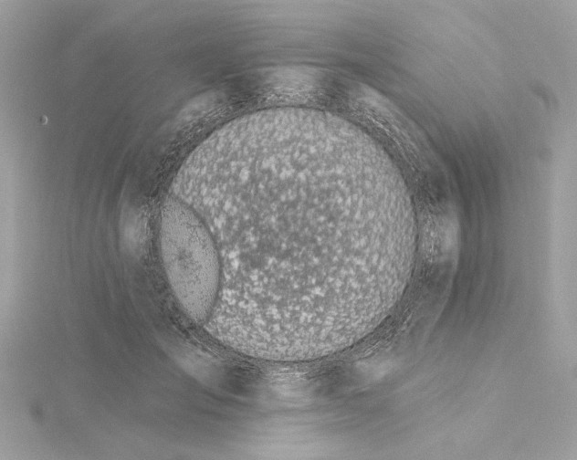 X0000115430701200911251226