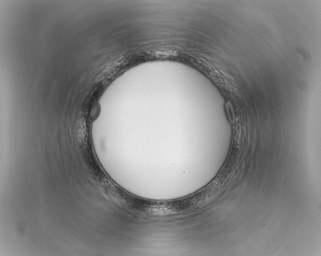 X0000115430704200911251226