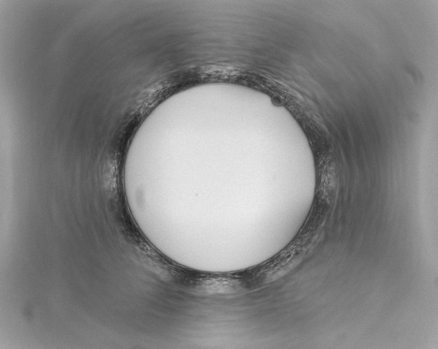 X0000115430708200911251226