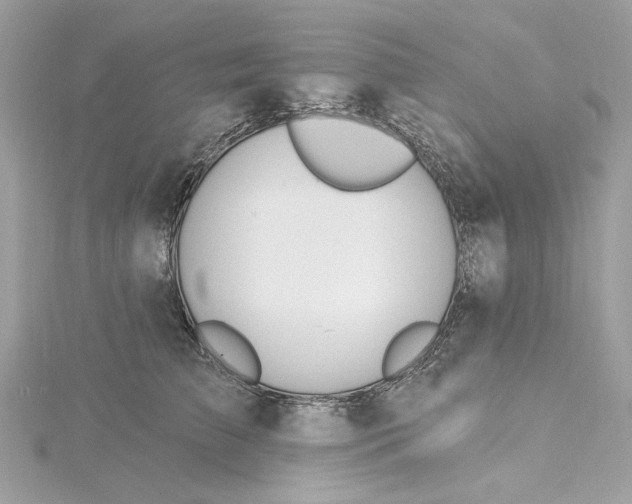 X0000115430709200911251226