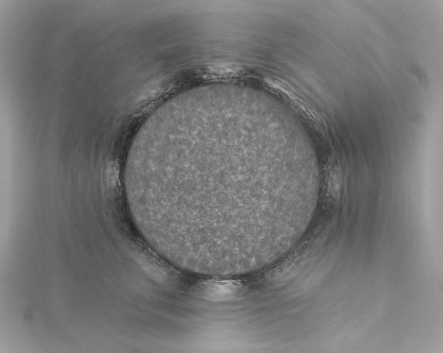 X0000115430711200911251226