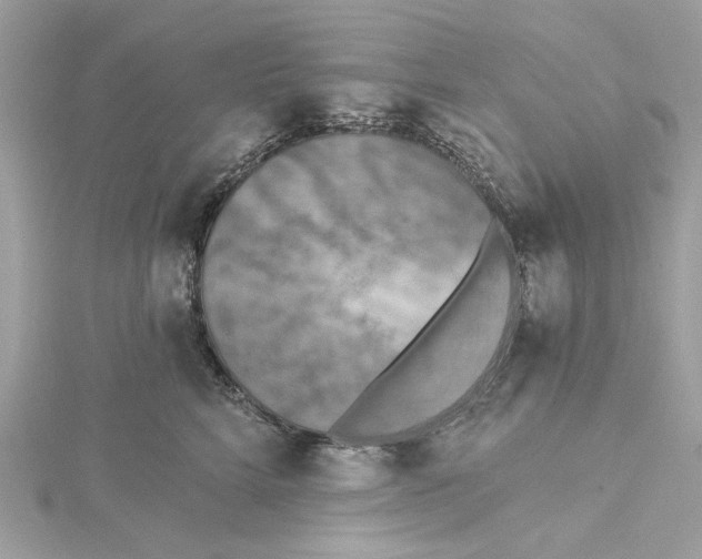 X0000115430712200911251226