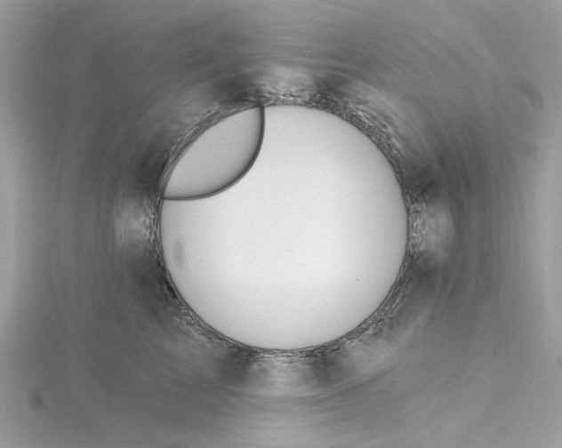 X0000115430713200911251226