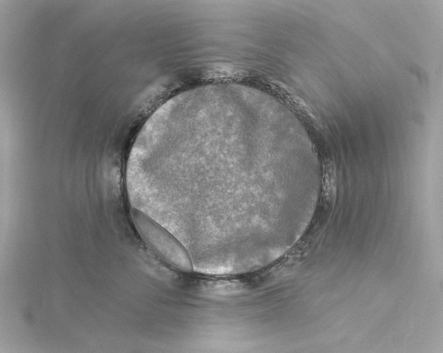 X0000115430716200911251226