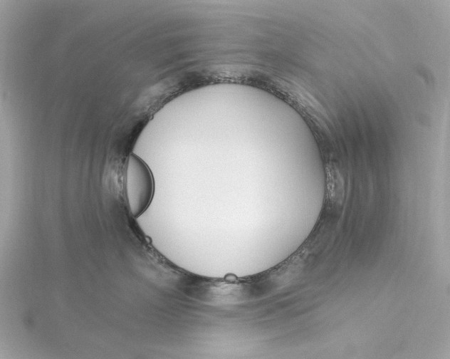 X0000115430718200911251226