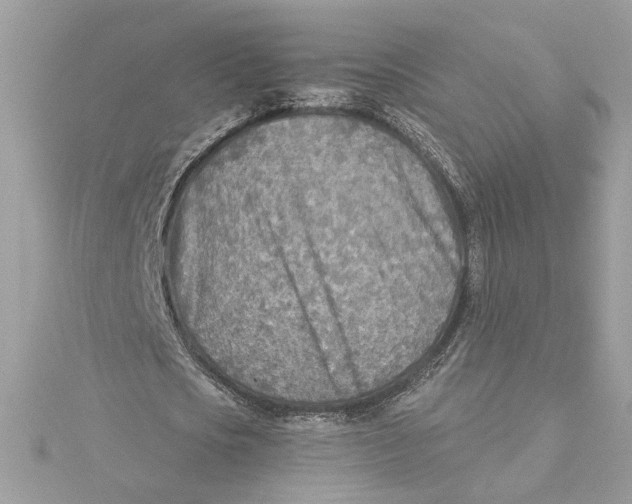 X0000115430721200911251225