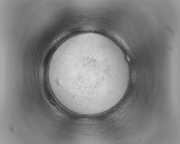 X0000115430722200911251225