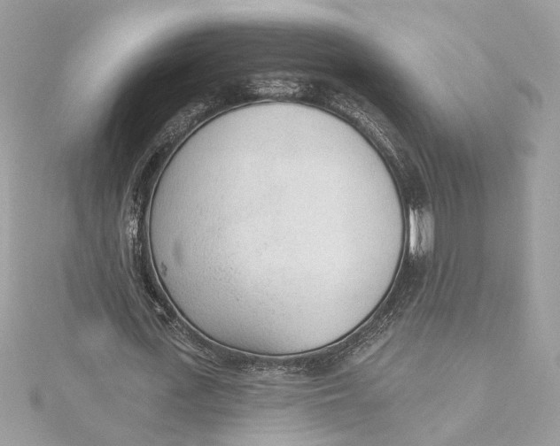 X0000115430723200911251225