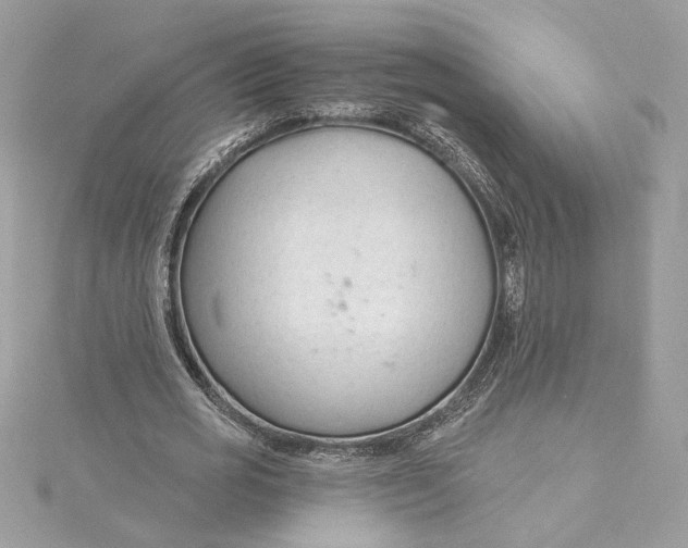 X0000115430725200911251225