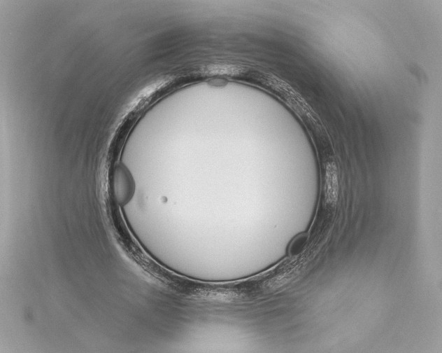 X0000115430726200911251225