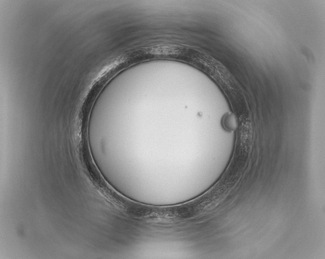 X0000115430727200911251225