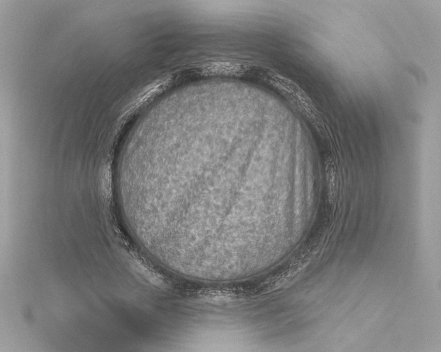 X0000115430729200911251225