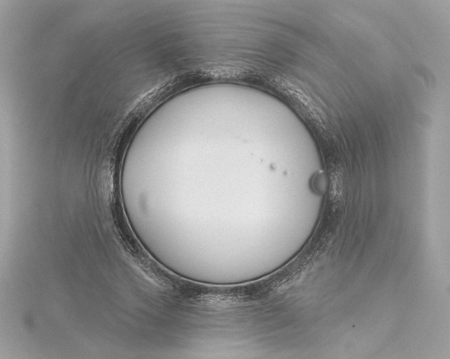 X0000115430733200911251225