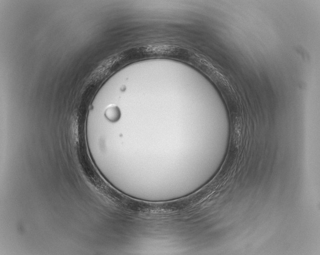 X0000115430734200911251225