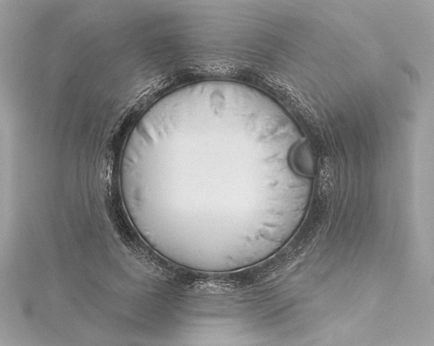 X0000115430739200911251225