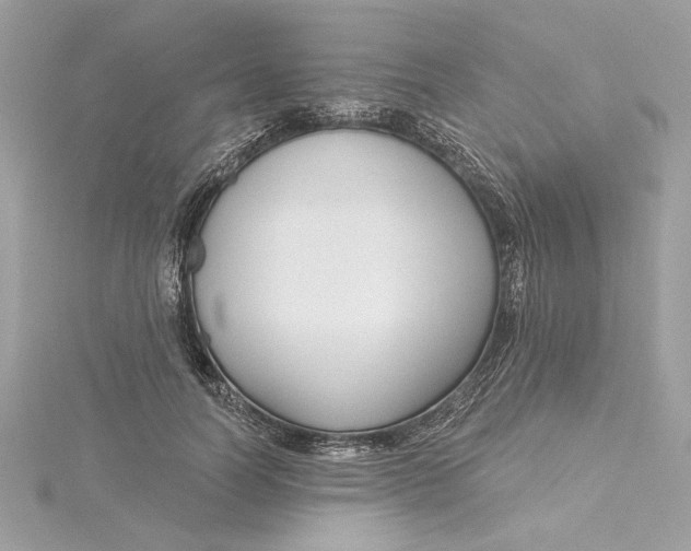 X0000115430746200911251225