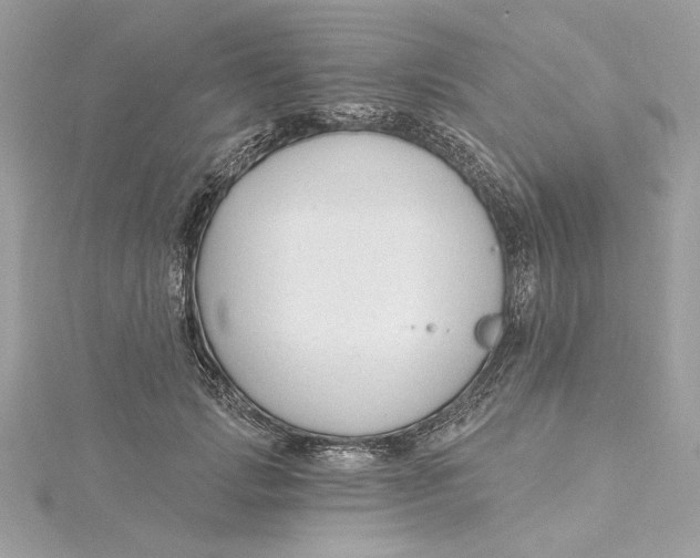 X0000115430749200911251225