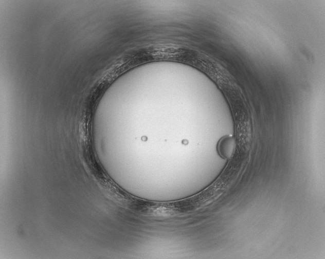 X0000115430755200911251225