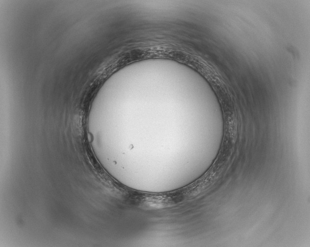 X0000115430757200911251225