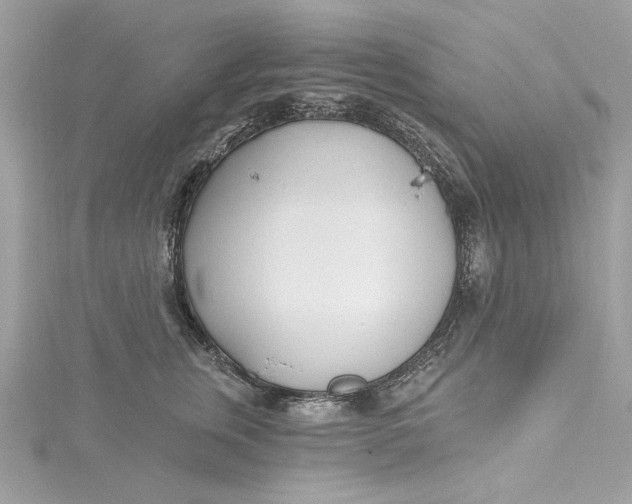 X0000115430759200911251225