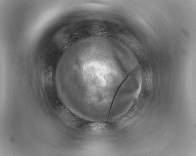 X0000115430762200911251225