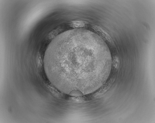 X0000115430763200911251225