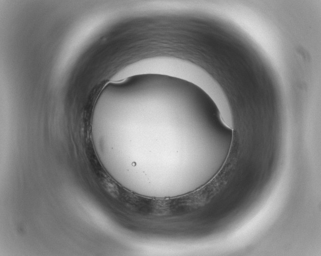 X0000115430766200911251226