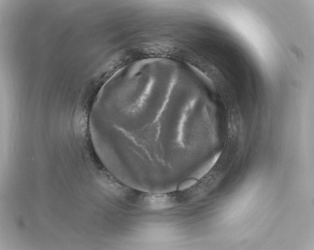 X0000115430767200911251226