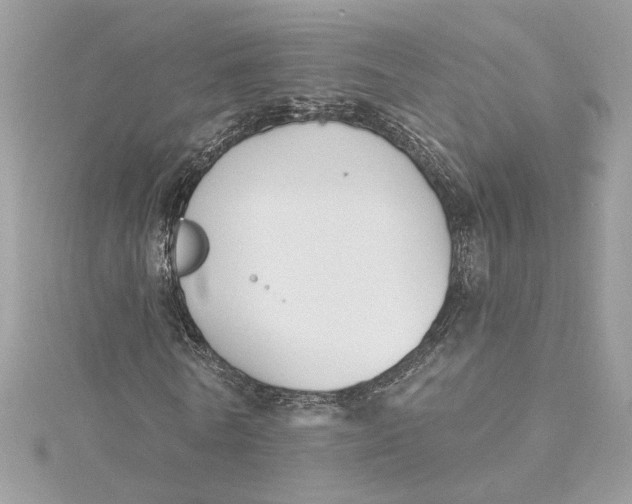 X0000115430770200911251225