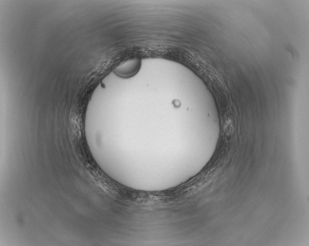 X0000115430772200911251225