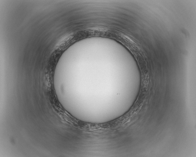 X0000115430774200911251225