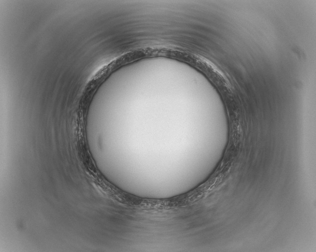 X0000115430775200911251225