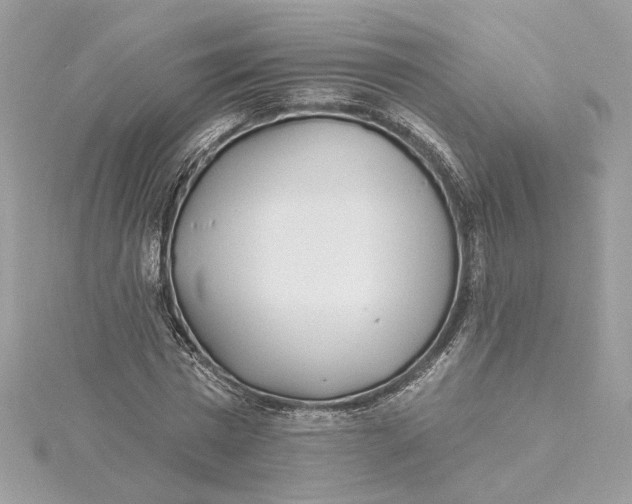 X0000115430777200911251225