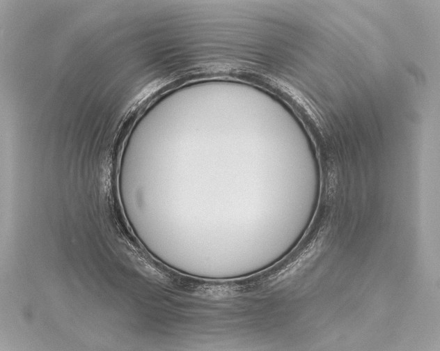 X0000115430778200911251225