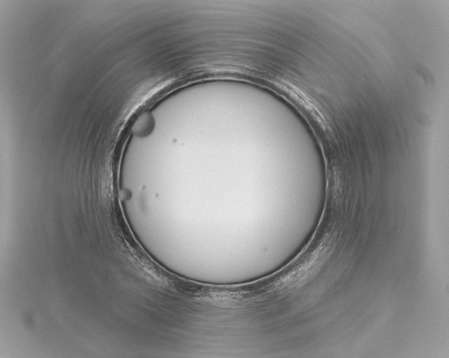 X0000115430782200911251225