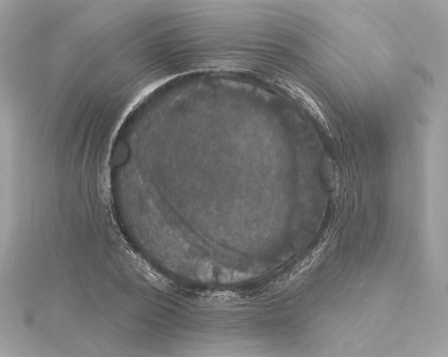 X0000115430784200911251225