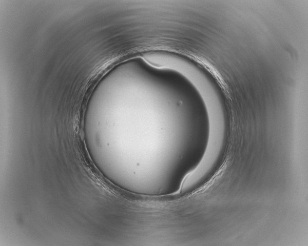 X0000115430785200911251225