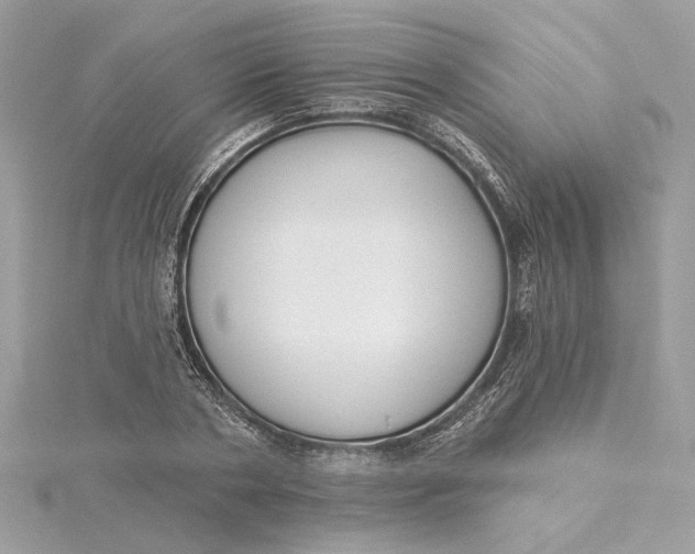 X0000115430786200911251225